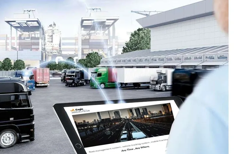 17af8af12bc80985c6eca0cd9ca4f76b_XL copy